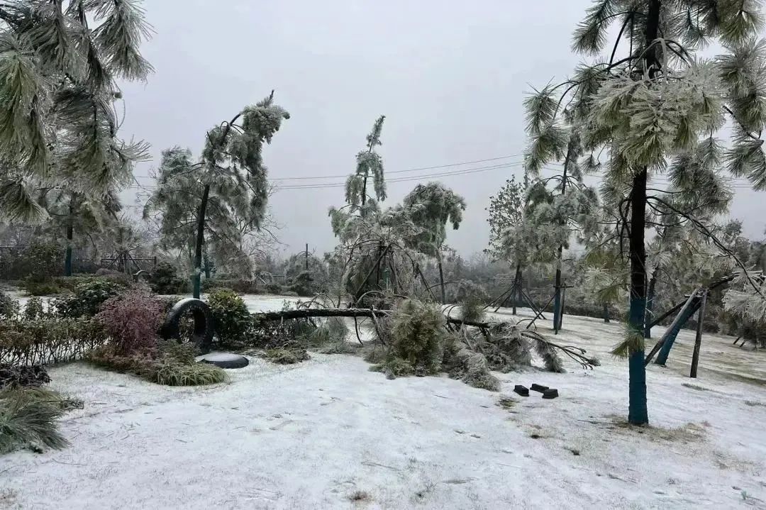 仙鹤湖10.jpg