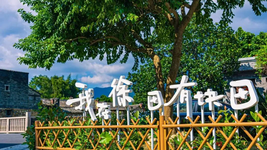 赶猪19.jpg
