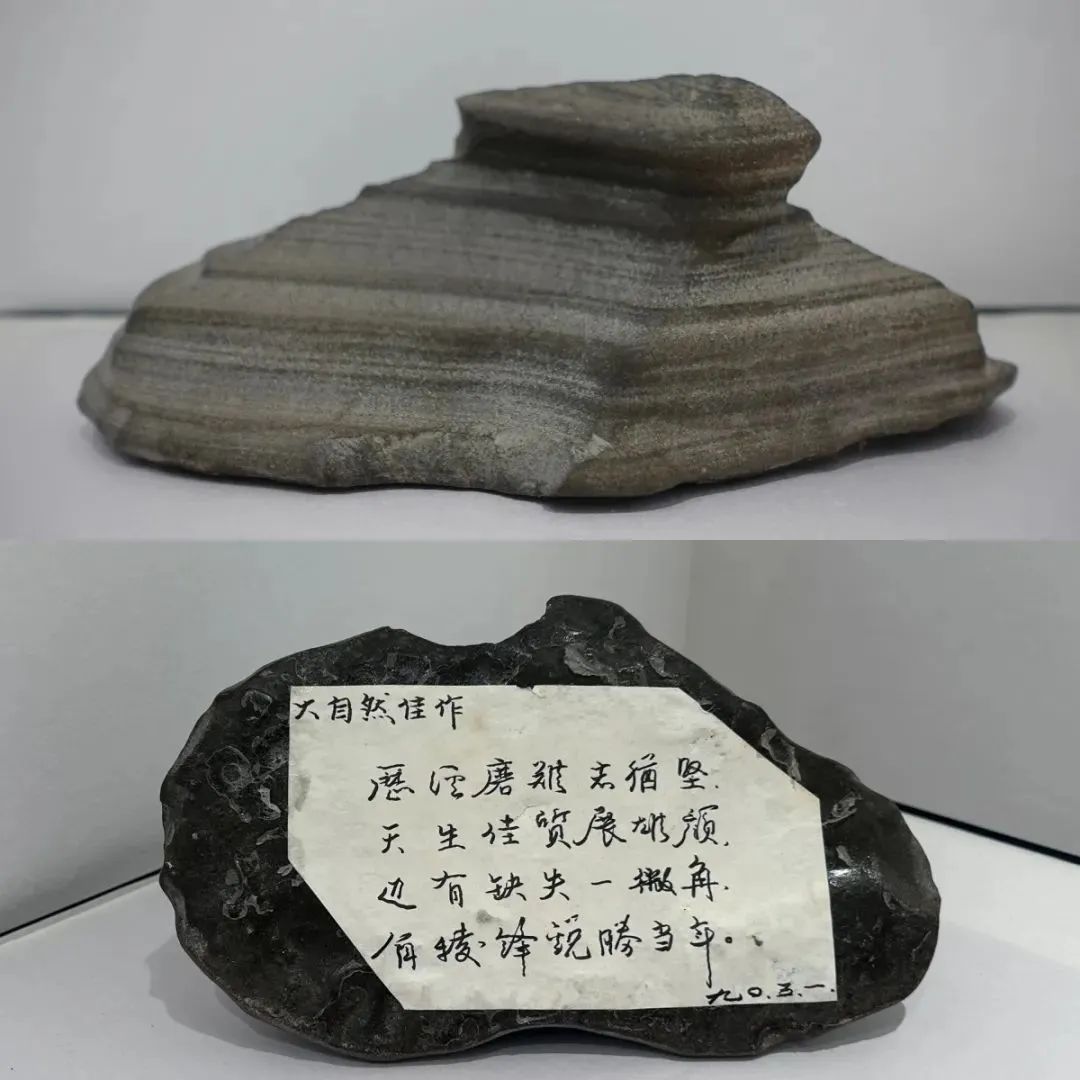 宝藏15.jpg