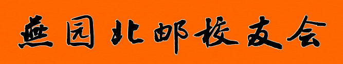 41.png