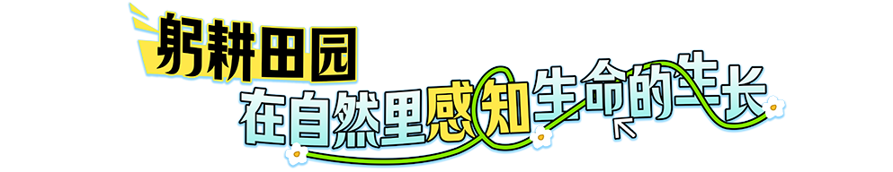 微信图片_2026-04-27_114123_834.png