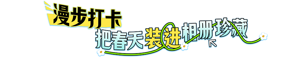 9.png