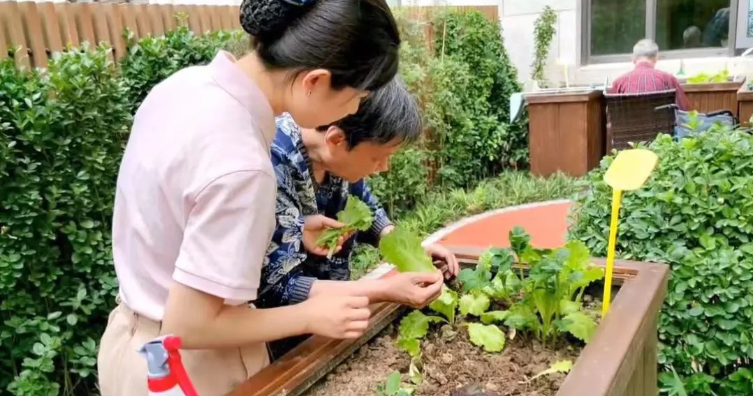 12.png